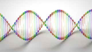 The US Government Hopes $190 Million Will Make Gene Editing Mainstream<em></em><em></em>